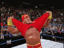 wwe-wrestling.gif wwe-wrestling.gif