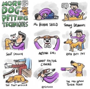 dogs petting.jpg