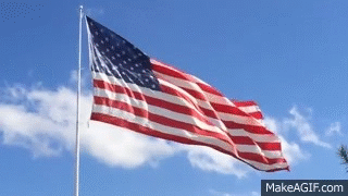 flag.gif