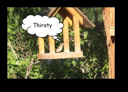thirsty.jpg