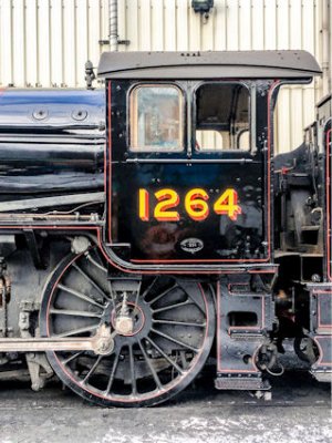 Number 1264 @.jpg