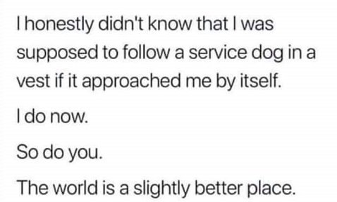 follow.jpg