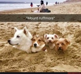 mount ruffmore.jpg