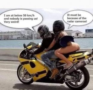 IMG_3272.jpeg