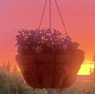 IMG_2064.jpeg
