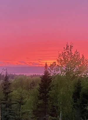 IMG_0578.jpeg