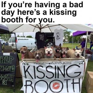 kissing booth.jpg