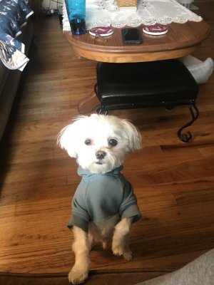 IMG_1212.jpeg