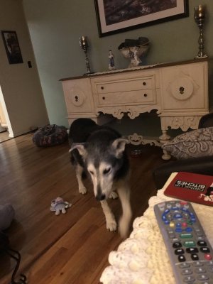 IMG_0772.jpeg