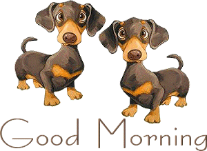 Good Morning.gif