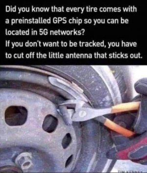 IMG_3346.jpeg