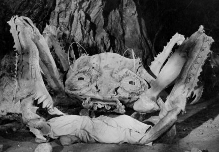crab1.JPG