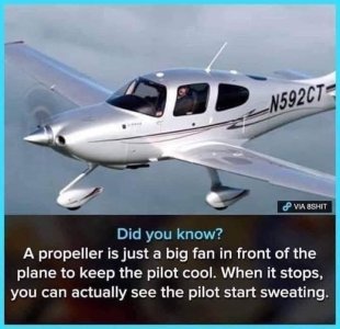 IMG_3353.jpeg