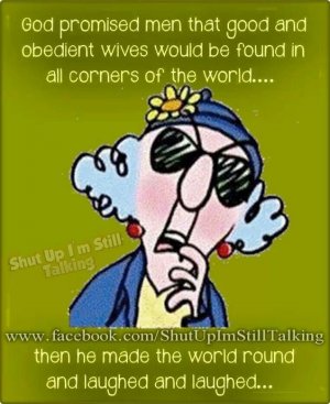 obidient wives.jpg