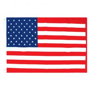 flag US.jpeg