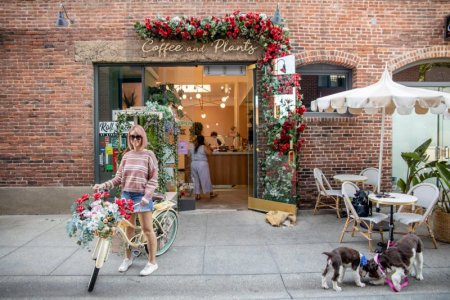 Coffee-and-Plants-Front-Entrance.jpg