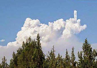 up yours.jpg