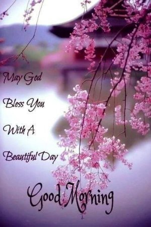 FB_IMG_1686313486632.jpg