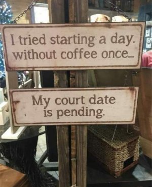 IMG_3363.jpeg
