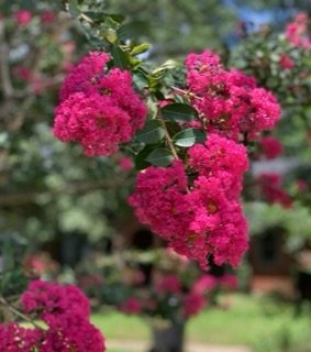 IMG_1640.jpeg