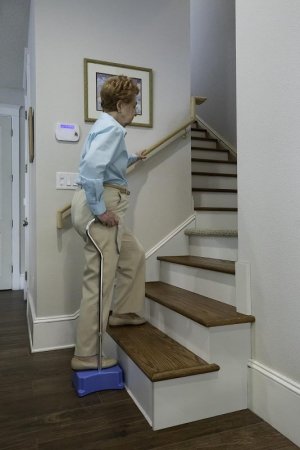 ezstep.jpg