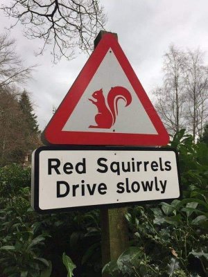 355314855_1593838377808344_1736029064631960597_n.jpg