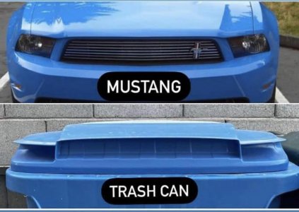 mustang.jpg