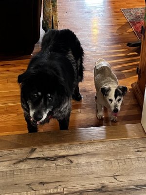 IMG_3203.jpeg IMG_3203.jpeg