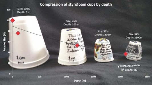 Styrofoam Cup Compression (1).jpg