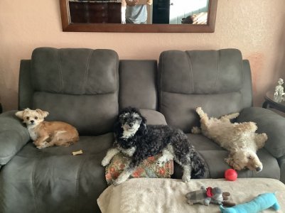 3 amigo's.jpg