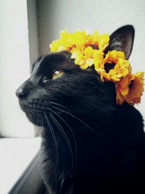 tumblr_nkbh6tCV191u0381wo1_1280.jpg