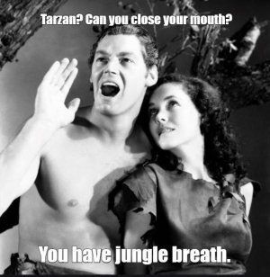tz1.JPG