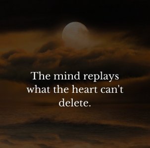 mind.jpg