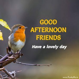 good-afternoon-images-27.jpg