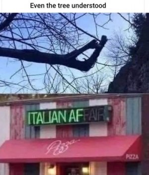 tree.jpg