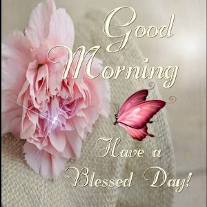 265655-Good-Morning-Have-A-Blessed-Day.jpg