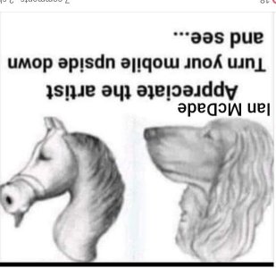 upsice down.jpg