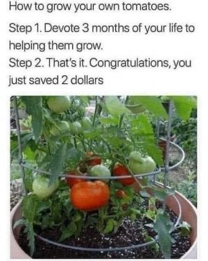 355322641_647560950732901_7005398113369044806_n.jpg