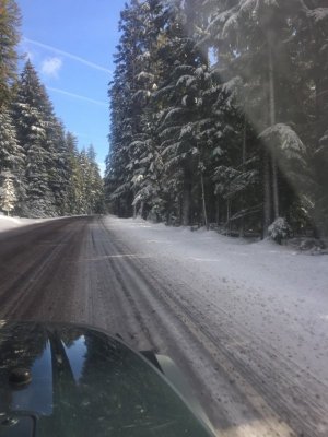 logging road in jeep.jpg
