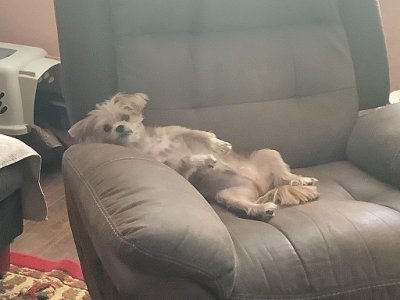 relaxing.jpg