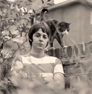 caturday paul.jpg