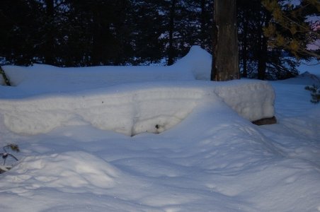 snowhale.jpg