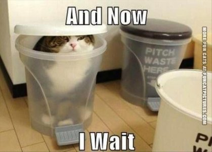 waiting.jpeg