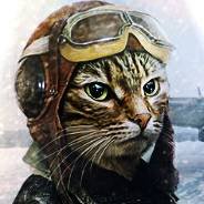 pilot_cat_steam_avatars.jpg