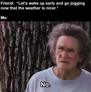 IMG_3510.jpeg