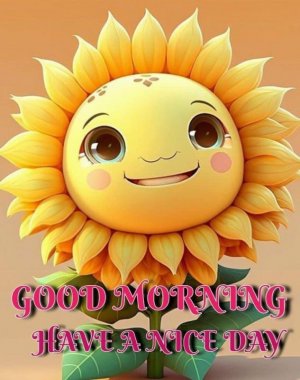IMG_3516.jpeg