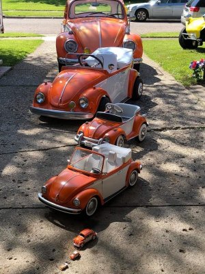 bug family.jpg