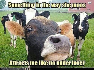 moos.jpg
