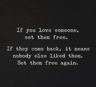 IMG_2254.jpeg IMG_2254.jpeg