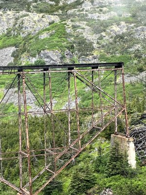 IMG_2432.jpeg